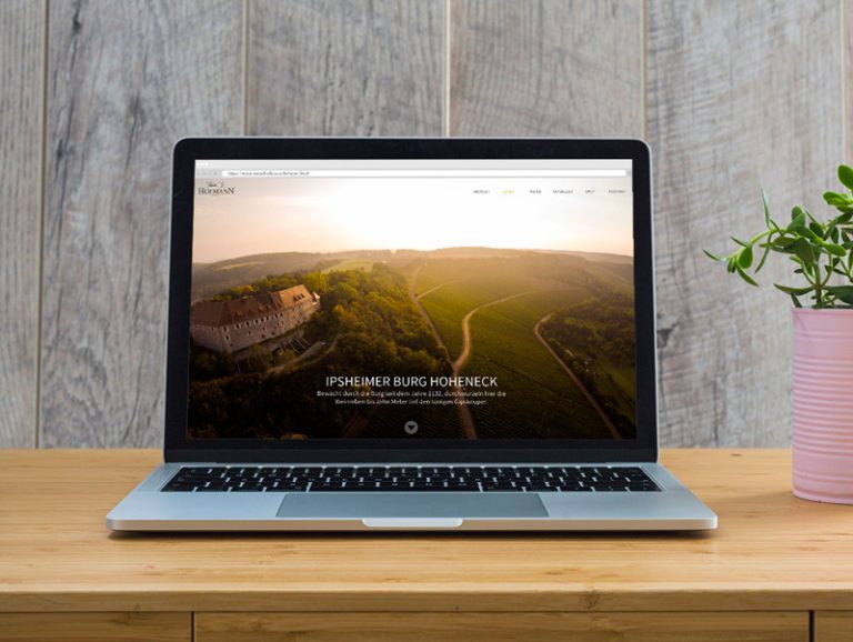 Mehr über den Artikel erfahren Internetauftritt mit Online-Shop