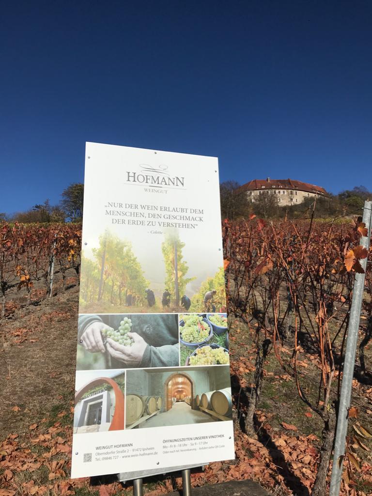 Info-Tafel von Weingut Hofmann im Weinberg